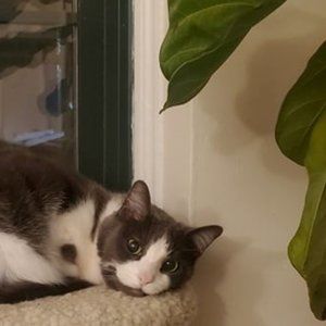 Meet your Posher, Lynn